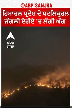 Himachal Pradesh ਦੇ ਪਟਲਿਕੁਹਲ ਜੰਗਲੀ ਏਰੀਏ 'ਚ ਲੱਗੀ ਅੱਗ