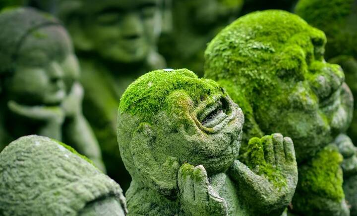 ব্যবসা করে লক্ষ লক্ষ টাকা মুনাফার কথা ভাবেন অনেকেই। কিন্তু ব্যবসা করা মোটেই সহজ কাজ নয়। ইদানীং কালে ইতিউতি স্টার্টআপ গজিয়ে উঠতে দেখে মাথার পোকা নড়ে উঠলেও, খোঁজ নিলে দেখা যাবে, কয়েক বছর বা কয়েক মাসের মধ্যেই অধিকাংশ পাততাড়ি গোটাতে বাধ্য হয়েছে। ছবি: পিক্সাবে।