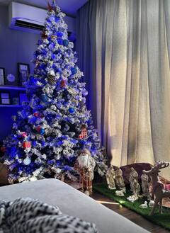 Keerthy Suresh Photos : வீட்டிலேயே ஜாலியாக கிறிஸ்துமஸ் கொண்டாடிய நடிகை கீர்த்தி சுரேஷ்!