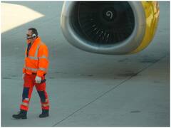 एयरप्लेन के पंखों में चिकन क्यों फेंके जाते हैं? इस प्रोसेस के बारे में जानते हैं आप?