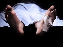 उत्तराखंड में बढ़ रही वन्य जीव के हमले की घटनाएं, इनमें बच्चों की मौत ज्यादा, लोग अलर्ट