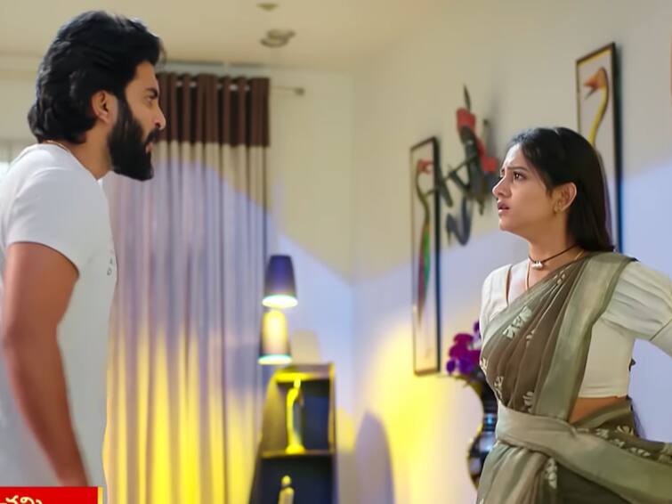 naga panchami serial today december 27th episode written update Naga Panchami Serial Today December 27th Episode - 'నాగ పంచమి' సీరియల్: నాగ చంద్రకాంత మొక్కని భూలోకానికి తెమ్మని ఫణేంద్రకు చెప్పిన పంచమి, షాక్‌లో మేఘన!