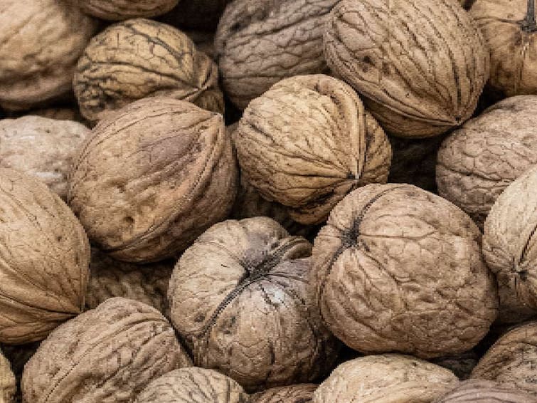 Benefits,and uses of nutmeg? Marathi News Benefits of Nutmeg जायफळ