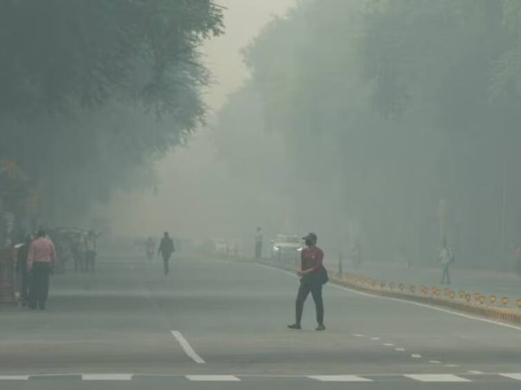 flights trains hit by dense fog in delhi as visibility almost drops to zero Delhi Fog:  ఢిల్లీలో కమ్ముకున్న పొగమంచు, పలు ట్రైన్‌లు రైళ్లు ఆలస్యం