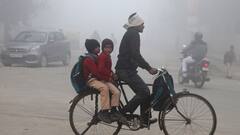 Weather Update:  বাংলায় ভরা পৌষে শীত উধাও, আজ কেমন থাকবে আবহাওয়া ?