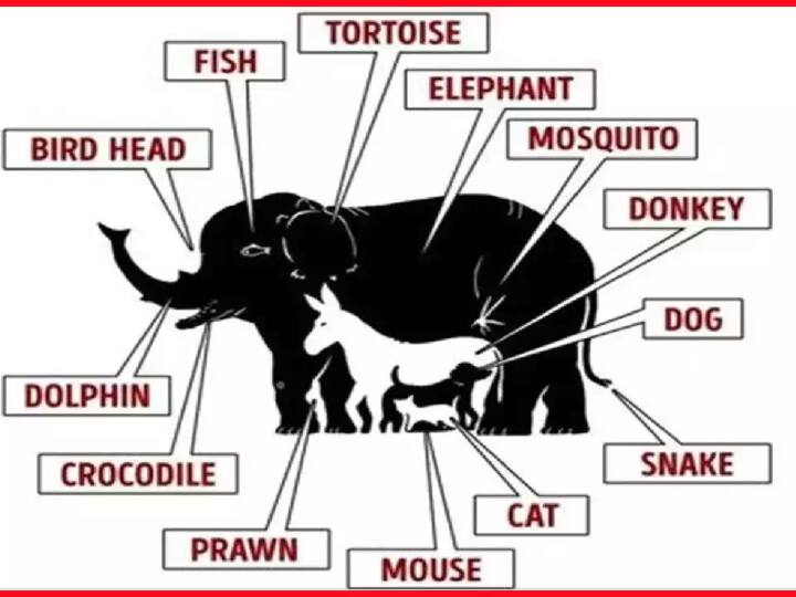 अगर आपने इसका सही जवाब निकाल लिया है तो आप सुपर जीनियस हैं,