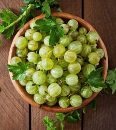 Amla Benefits: ਸਰਦੀਆਂ ‘ਚ ਵਾਲ ਝੜਨ ਤੋਂ ਪ੍ਰੇਸ਼ਾਨ...ਤਾਂ ਇਸ ਤਰੀਕੇ ਨਾਲ ਖਾਓ ਆਂਵਲਾ, ਮਿਲੇਗਾ ਫਾਇਦਾ