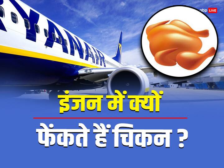 Airplane Engine Chicken Test: ये तो आप जानते हैं कि एयर प्लेन का इंजन काफी पावरफुल होता है. लेकिन, क्या आप जानते हैं कि प्लेन के इस इंजन का टेस्ट चिकन फेंककर किया जाता है.