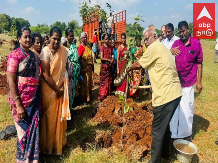 Kanchipuram news 3000 saplings on behalf of Iyengar Kulam Village Panchayat - TNN புகழ்பெற்ற நடவாவி கிணற்றில் நடப்பட்ட ஆயிரம் மரங்களை தொடர்ந்து மீண்டும் 3000 மரங்கள் அதே ஊராட்சியில்