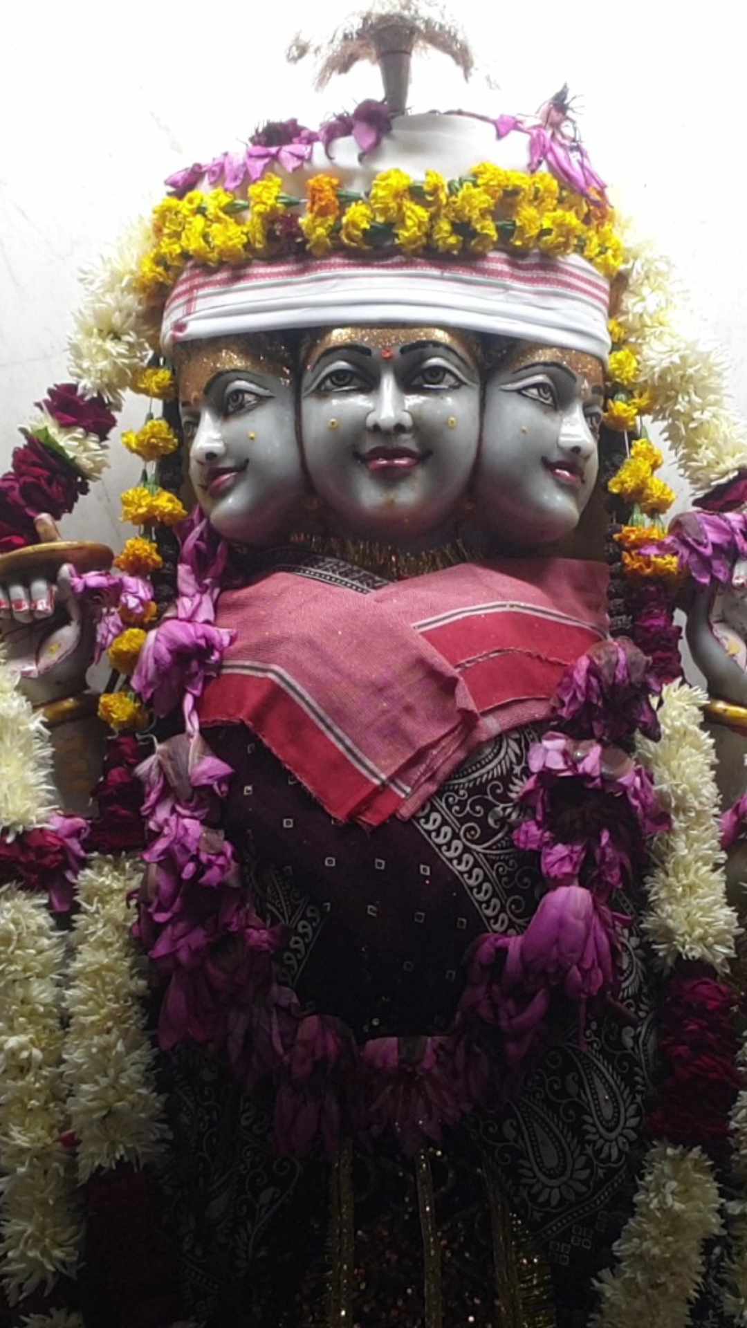 जैसे ही सर्दी बढ़ने की शुरुआत हो रही है वैसे वैसे सर्दी से