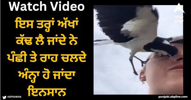 this is how eagles eats human eyes scoop instantly from socket Viral Video: ਇਸ ਤਰ੍ਹਾਂ ਅੱਖਾਂ ਕੱਢ ਲੈ ਜਾਂਦੇ ਨੇ ਪੰਛੀ ਤੇ ਰਾਹ ਚਲਦੇ ਅੰਨ੍ਹਾ ਹੋ ਜਾਂਦਾ ਇਨਸਾਨ, ਦੇਖੋ ਡਰਾਉਣੀ ਵੀਡੀਓ