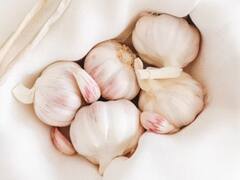 Antibiotic Alternatives : நோய்களில் இருந்து விடுபட ஆன்டி பயாடிக் மருந்துக்கு பதிலா இந்த மூலிகைகளை சாப்பிடுங்க!