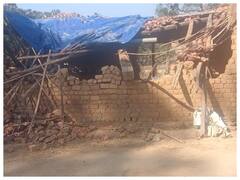 सरगुजा में हाथियों का आतंक! तीन मवेशियों को कुचलकर मारा, तीन घायल, वन विभाग अलर्ट