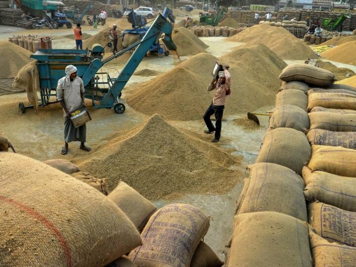 Jabalpur Paddy Purchase Scam MSP CM Mohan Yadav Order Markfed DM suspended Suspend ann MP News: जबलपुर के धान खरीदी घोटाले में रोज खुल रही है नई परत, अब मार्कफेड डीएम सस्पेंड