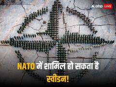 नाटो में शामिल होगा स्वीडन? अब तुर्किए की संसदीय समिति ने आवेदन को दी मंजूरी
