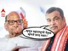 Nitin Gadkari On Sharad Pawar : ... म्हणून महाराष्ट्राचे नेतृत्व म्हणजे शरद पवार; केंद्रीय मंत्री नितीन गडकरींची स्तुतीसुमने