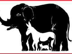 Optical Illusion: इस तस्वीर में छिपे हैं 10 से ज्यादा जानवर, खोज लिया तो कहलाएंगे सुपर जीनियस