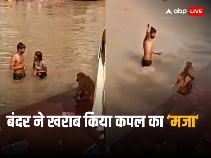 Couple was bathing in the river monkey came and spoiled the fun watch funny video Viral Video: नदी में नहा रहा था कपल, बंदर ने आकर खराब कर दिया पूरा 'मजा', वीडियो देख हंसते हंसते लोटपोट हो जाएंगे