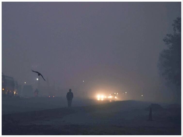 Delhi Weather Updates Dense Fog Covers National Capital Cold Wave Visibility Zero In Parts Dense Fog In Delhi Hits Visibility. 110 Flights Affected, 25 Trains Hit