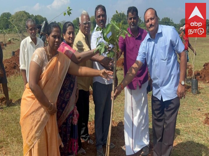 புகழ்பெற்ற நடவாவி கிணற்றில் நடப்பட்ட ஆயிரம் மரங்களை தொடர்ந்து மீண்டும் 3000 மரங்கள் அதே ஊராட்சியில்