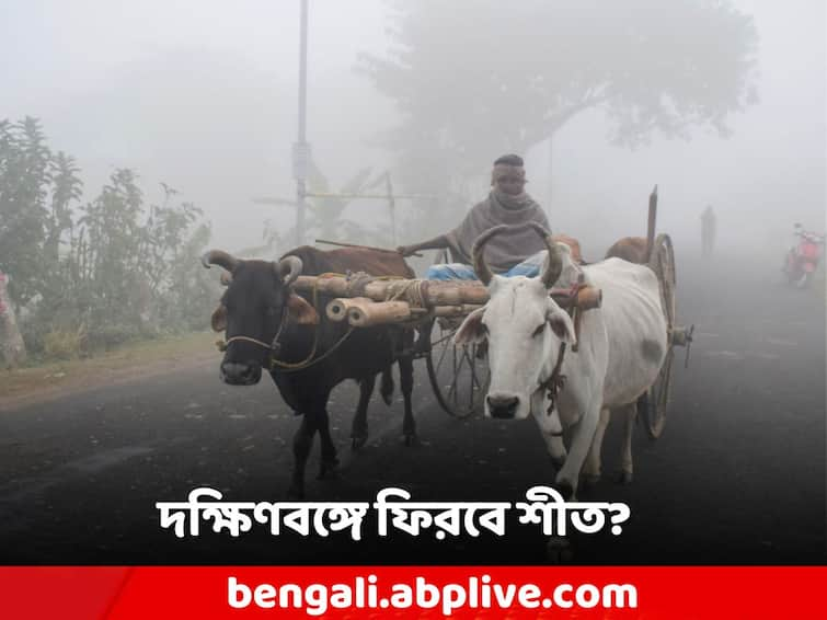 South Bengal Weather Update,  WB Weather Update for tomorrow, Winter is retreating due to Depression South Bengal Winter Update: উধাও শীত, বাড়ছে অস্বস্তি! আগামীকাল কেমন থাকবে দক্ষিণবঙ্গের আবহাওয়া?