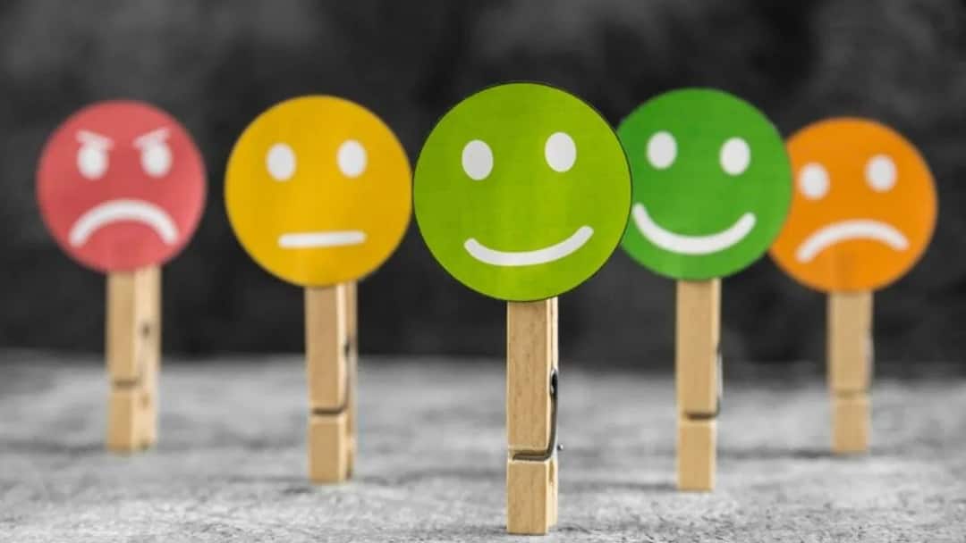 Health Tips 5 quick ways to manage big emotions know marathi news Health Tips : तुम्हीही भावनांमध्ये वाहून जाता का? 'या' 5 पद्धती वापरून पाहा