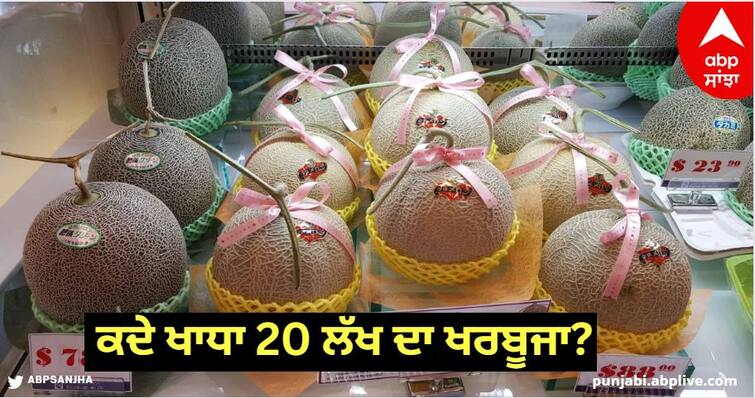 Ever eaten a 20 lakh melon Know who eats melons more expensive than a luxury car know details Yubari Melon Price: ਕਦੇ ਖਾਧਾ 20 ਲੱਖ ਦਾ ਖਰਬੂਜਾ? ਜਾਣੋ ਲਗਜ਼ਰੀ ਕਾਰ ਤੋਂ ਵੀ ਮਹਿੰਗੇ ਖਰਬੂਜ਼ੇ ਨੂੰ ਕੌਣ ਖਾਂਦੇ?