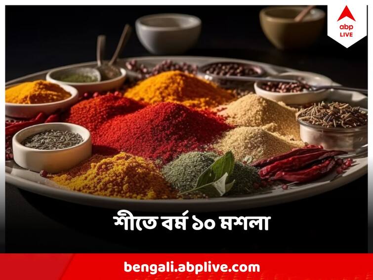 Winter Diet 10 Indian Spices That Help To Boost Immunity Winter Diet : শীতে রোগ বালাই থমকে যাবে দূরে, যদি পাতে থাকে এই ১০ মশলা !