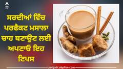 Perfect Masala Tea: ਸਰਦੀਆਂ ਵਿੱਚ ਪਰਫੈਕਟ ਮਸਾਲਾ ਚਾਹ ਬਣਾਉਣ ਲਈ ਅਪਣਾਓ ਇਹ ਟਿਪਸ, ਇੱਕ ਚੁਸਕੀ ਨਾਲ ਸਰੀਰ ‘ਚ ਆਵੇਗੀ ਗਰਮੀ