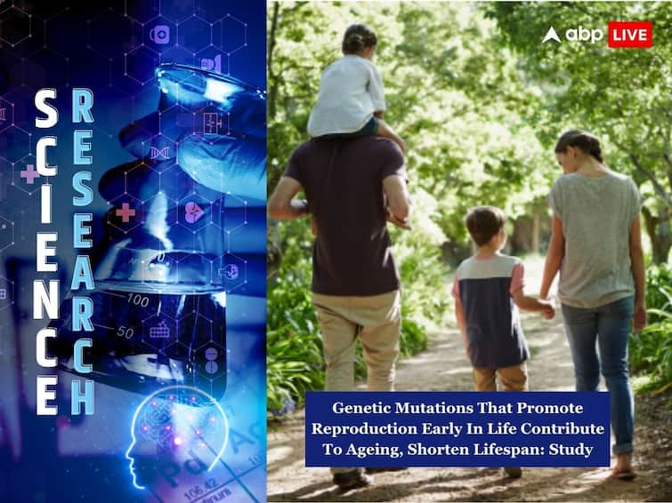 Genetic Mutations That Promote Reproduction Early In Life Contribute To Ageing, Shorten Lifespan: Study ABPP Genetic Mutations That Promote Reproduction Early In Life Contribute To Ageing, Shorten Lifespan: Study