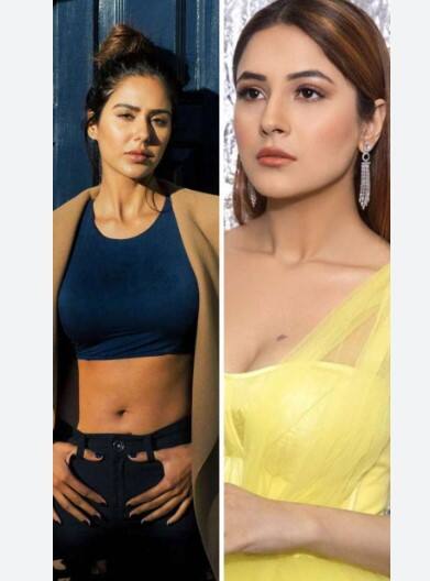 ਪੰਜਾਬੀ ਸਿਨੇਮਾ ਦੀਆਂ Top ਅਭਿਨੇਤਰੀਆਂ ਦੀ ਲਿਸਟ