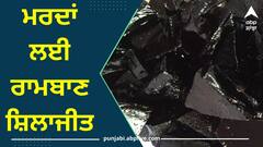 benefits of Shilajit: ਮਰਦਾਂ ਲਈ ਰਾਮਬਾਣ ਹੈ ਸ਼ਿਲਾਜੀਤ, ਆਹ ਬਿਮਾਰੀਆਂ ਜੜ੍ਹੋਂ ਕਰ ਦੇਵੇਗਾ ਖ਼ਤਮ !