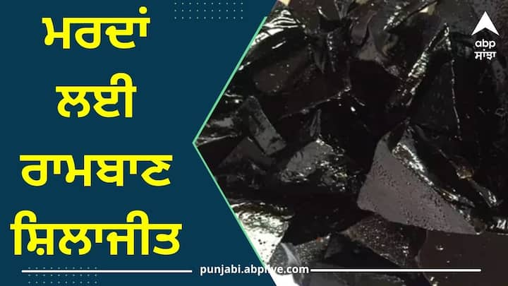 Shilajit benefits : ਸ਼ਿਲਾਜੀਤ ਇਕ ਆਯੁਰਵੈਦਿਕ ਜੜੀ ਬੂਟੀ ਹੈ, ਜਿਸ ਦੀ ਵਰਤੋਂ ਮਰਦਾਂ ਦੀਆਂ ਕਈ ਤਰ੍ਹਾਂ ਦੀਆਂ ਸਮੱਸਿਆਵਾਂ ਨੂੰ ਦੂਰ ਕਰਨ ਲਈ ਕੀਤੀ ਜਾਂਦੀ ਹੈ। ਆਓ ਜਾਣਦੇ ਹਾਂ ਮਰਦਾਂ ਲਈ ਸ਼ਿਲਾਜੀਤ ਦੇ ਕੀ ਫਾਇਦੇ ਹਨ?