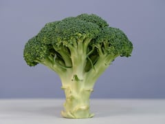 Broccoli Benefits : ब्रोकोलीचे सेवन आरोग्यासाठी आहे खूप फायदेशीर, नियमित सेवन केल्यास होतील हे आजार दूर !