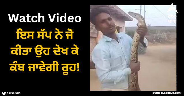 python attack man watch viral video Viral Video: ਅਜਗਰ ਨੂੰ ਹੱਥ ਵਿੱਚ ਫੜ ਕੇ ਖੇਡ ਰਿਹਾ ਵਿਅਕਤੀ, ਸੱਪ ਨੇ ਜੋ ਕੀਤਾ ਉਹ ਦੇਖ ਕੇ ਕੰਬ ਜਾਵੇਗੀ ਰੂਹ!