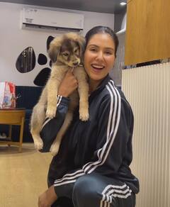 Sonam Bajwa: ਸੋਨਮ ਬਾਜਵਾ ਆਪਣੇ ਨਵੇਂ ਦੋਸਤ ਨਾਲ ਫਿਲਮ ਸੈੱਟ 'ਤੇ ਬਿਤਾ ਰਹੀ ਸਮਾਂ, ਪਿਆਰੀਆਂ ਤਸਵੀਰਾਂ ਨੇ ਜਿੱਤਿਆ ਫੈਨਜ਼ ਦਾ ਦਿਲ