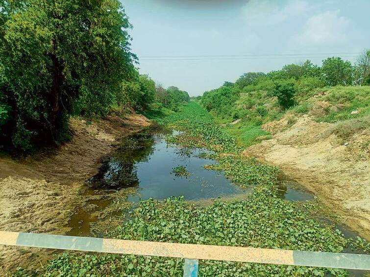 Orders to mark each drain immediately after harvesting the wheat crop ਕਣਕ ਦੀ ਫਸਲ ਕੱਟਣ ਤੋਂ ਤੁਰੰਤ ਬਾਅਦ ਹਰੇਕ ਡਰੇਨ ਦੀ ਨਿਸ਼ਾਨਦੇਹੀ ਕਰਵਾਉਣ ਦੇ ਆਦੇਸ਼