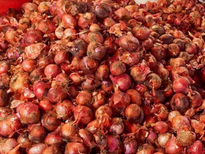प्याज के निर्यात पर लगी रोक के साइड इफेक्ट! फसल बेचने के लिए किसान ने जेब से दिए पैसे maharashtra beed farmer payed 565 rupees from his pocket to sell his onion ann प्याज के निर्यात पर लगी रोक के साइड इफेक्ट! फसल बेचने के लिए किसान ने जेब से दिए पैसे