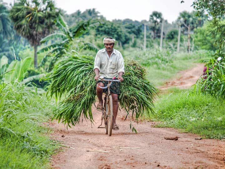 PM Kisan Scheme Government add 34 lakh farmers पीएम किसान: पहले कई किसानों को कर दिया था स्कीम से बाहर, अब फिर 34 लाख को जोड़ा