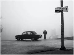 ज्यादा कोहरे में गाड़ी में सफेद लाइट सही रहती है या फिर पीली? ये है सही जवाब