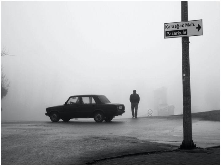 कौनसी होती है सही? पीली फॉग लाइटें कोहरे की स्थिति में ड्राइवरों को सड़क पर सावधानी से चलने में मदद करती है. इससे आप आसानी से गाड़ी चला सकते हैं.