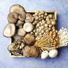 Mushroom Benefits: ਕੋਲੈਸਟ੍ਰੋਲ ਤੋਂ ਲੈ ਕੇ ਭਾਰ ਘਟਾਉਣ ਤੱਕ, ਸਰਦੀਆਂ 'ਚ ਮਸ਼ਰੂਮ ਖਾਣ ਦੇ ਹੈਰਾਨੀਜਨਕ ਫ਼ਾਇਦੇ