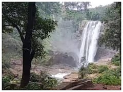 नए साल के स्वागत और बीते साल की विदाई के लिए पर्यटन स्थल तैयार, जानें बलरामपुर के टूरिस्ट स्पॉट