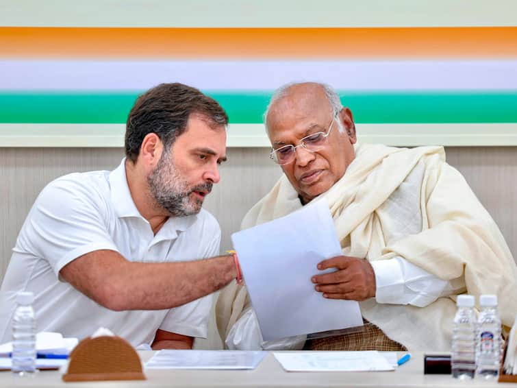 Congress Foundation Day Rahul Gandhi Mallikarjun Kharge Extend Wishes 'Party Built On Foundation Of Truth And Non-Violence...': Rahul Gandhi, Kharge Extend Wishes On Congress Foundation Day