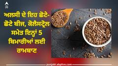 Flaxseed benefits: ਦਵਾਈ ਤੋਂ ਵੀ ਜ਼ਿਆਦਾ ਕਾਰਗਰ ਨੇ ਅਲਸੀ ਦੇ ਇਹ ਛੋਟੇ-ਛੋਟੇ ਬੀਜ, ਕੋਲੈਸਟ੍ਰੋਲ ਸਮੇਤ ਇਨ੍ਹਾਂ 5 ਬਿਮਾਰੀਆਂ ਲਈ ਰਾਮਬਾਣ