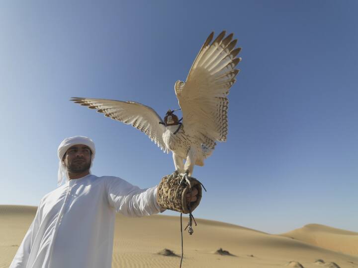 birds also have passports in UAE Flight tickets are also booked for Falcon birds इस देश में पक्षियों का भी बनता है पासपोर्ट, फ्लाइट में टिकट भी होती है बुक