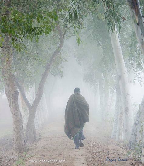 ਪੰਜਾਬ 'ਚ 31 ਦਸੰਬਰ ਤੱਕ ਰਹੇਗਾ ਧੁੰਦ ਦਾ ਕਹਿਰ