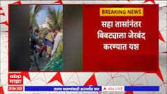Leopard Pimpri Chinchwad : पिंपरी चिंचवडच्या चिखली कुदळवाडीत बिबट्या जेरबंद