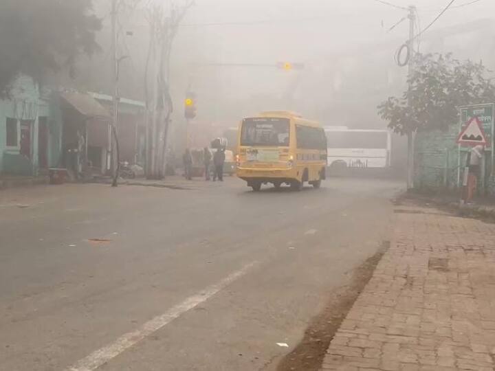 घने कोहरे की वजह से सड़कों पर वाहनों की रफ्तार पर भी प्रभाव पड़ा है.