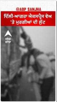 Delhi-Agra Express Way 'ਤੇ ਮੁਰਗੀਆਂ ਦੀ ਲੁੱਟ